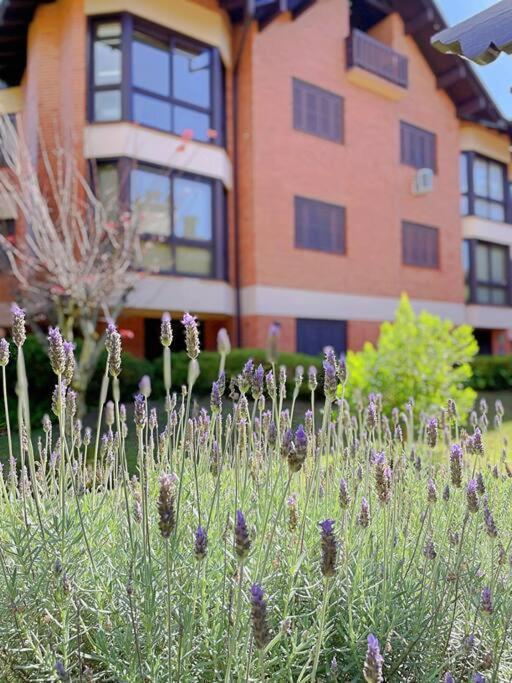 Aconchegante Apto 3 Dorm. Com Piscina Aquecida Gramado Exteriör bild